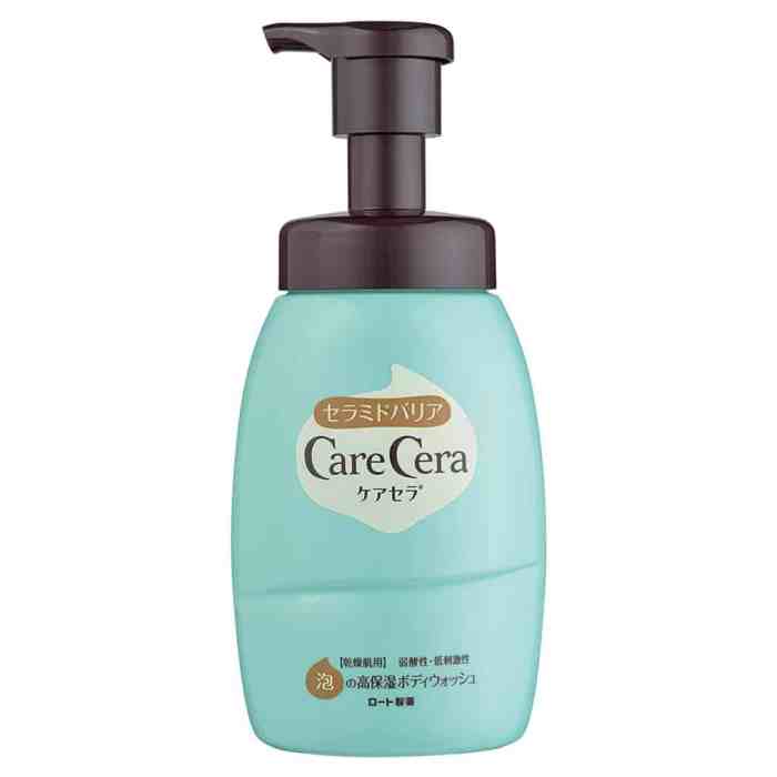 Best Japanese Body Wash For Dry Skin 2021 - Japan Truly